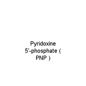 Pyridoxine 5'-phosphate ( PNP )